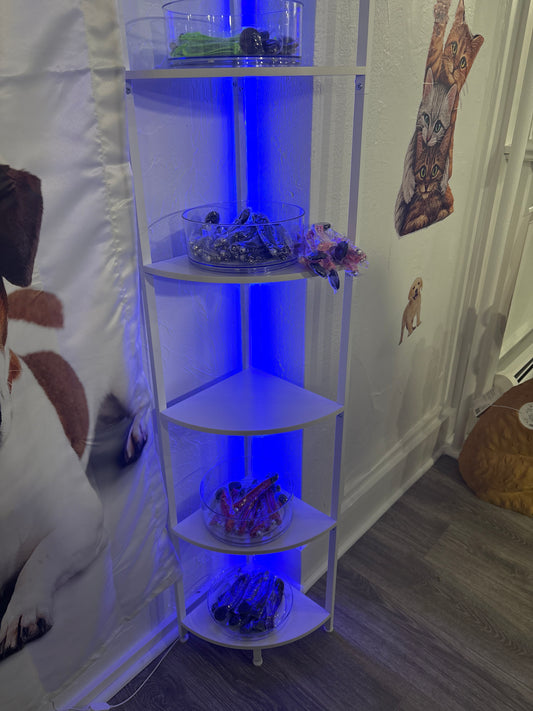 Cat Collar with airtag holder (sorted collors)