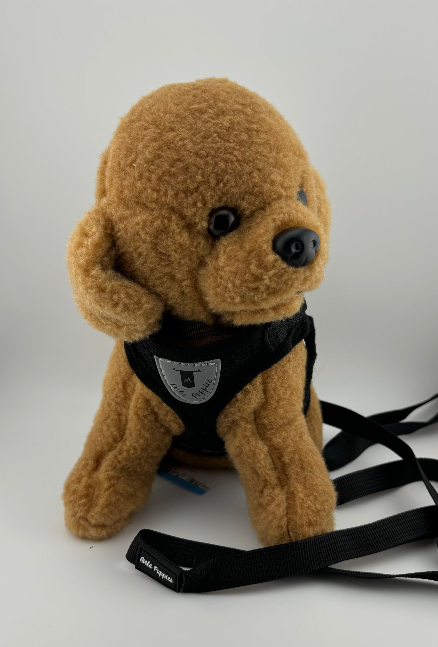 Harness with Leash