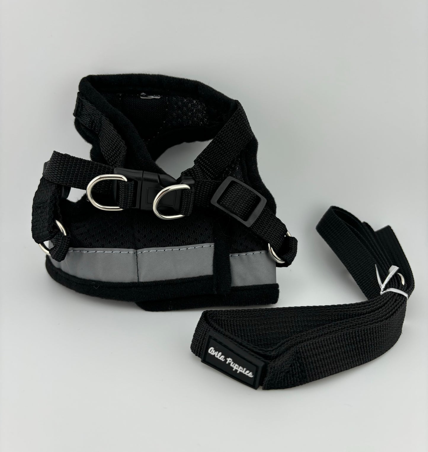 Harness with Leash