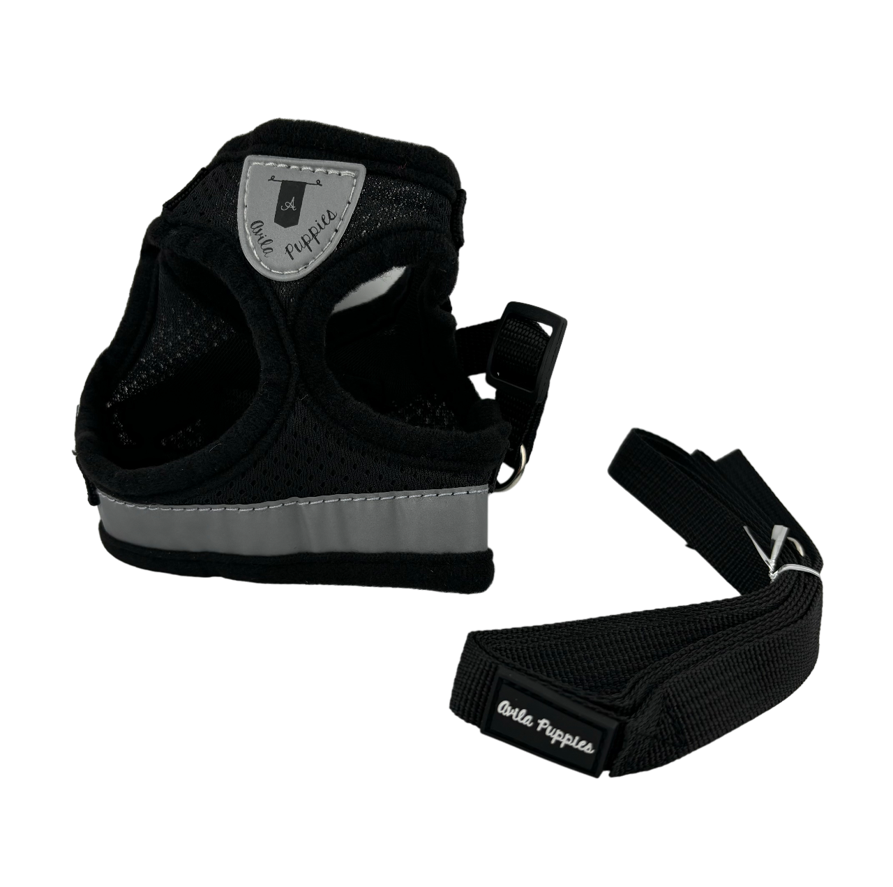 Harness with Leash