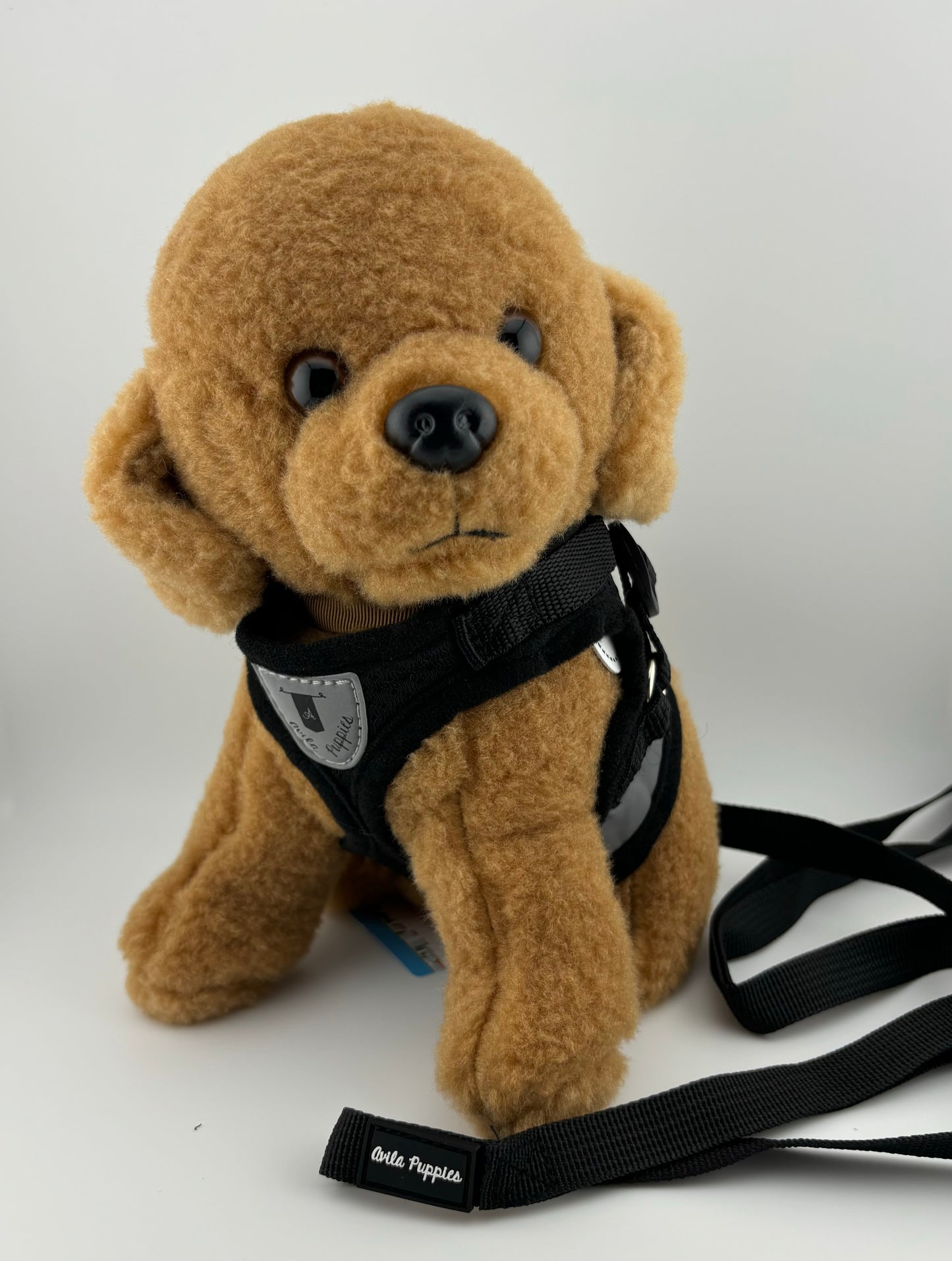 Harness with Leash