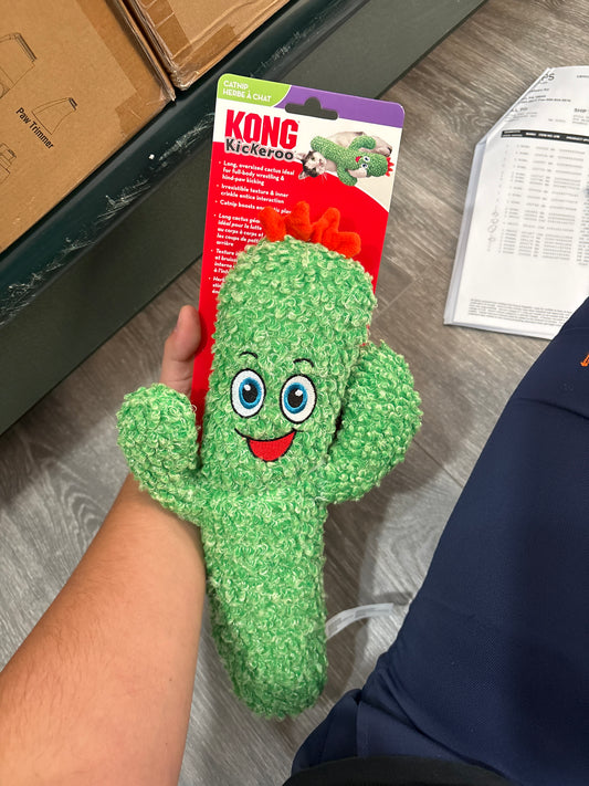 Kong Kickeroo Cactus