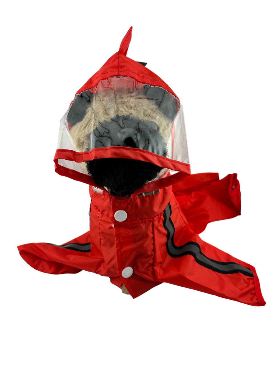 Raincoat