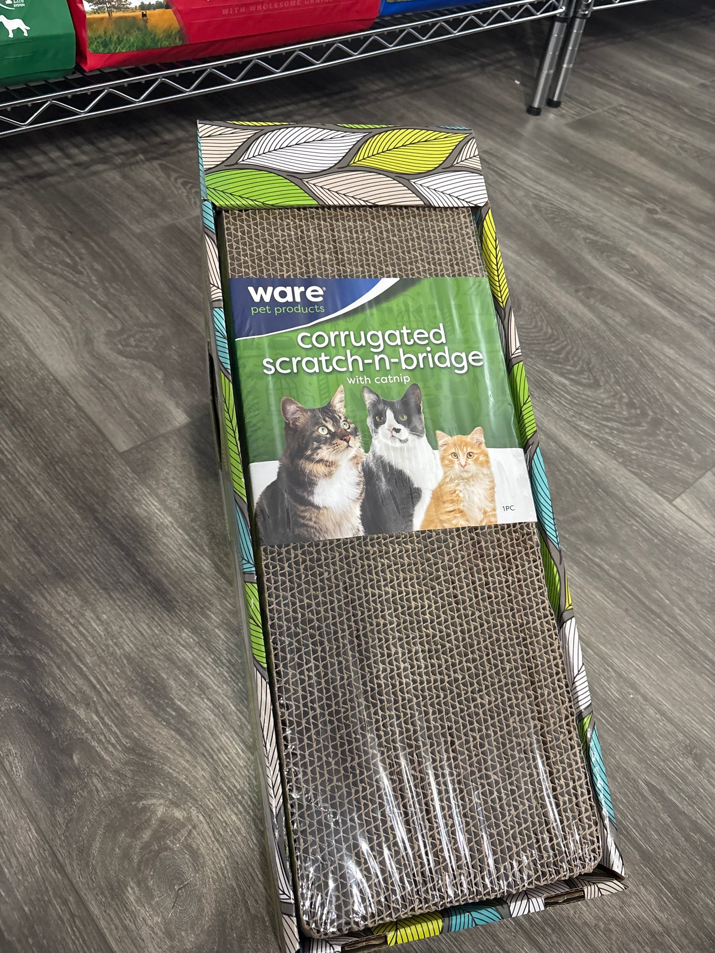 Cat Scratching