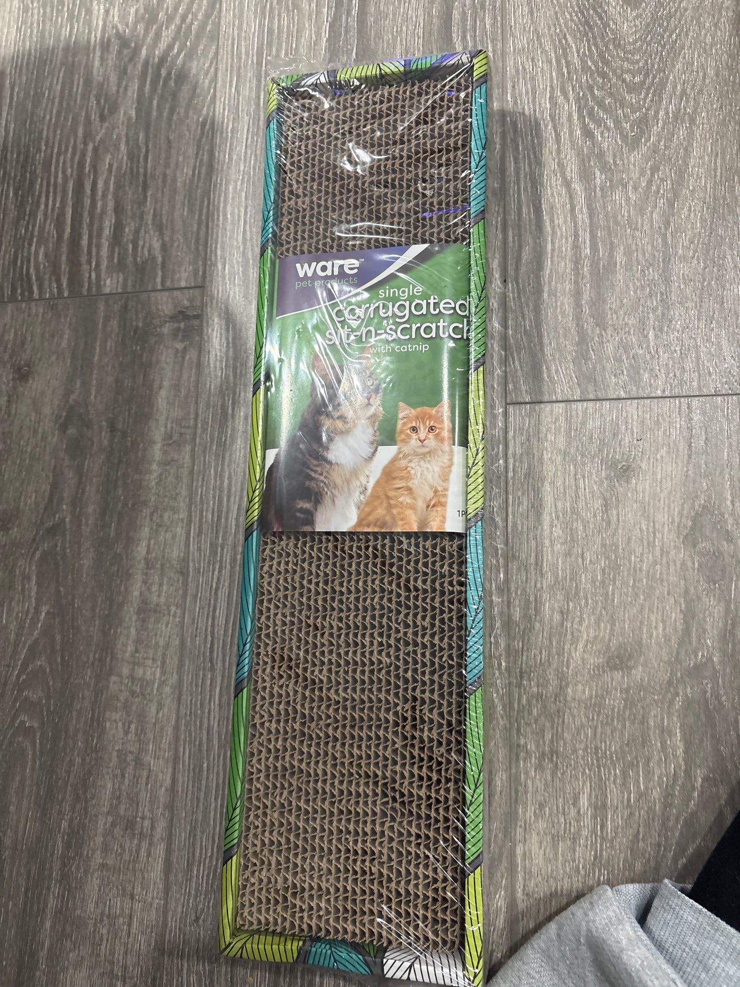 Cat Scratching
