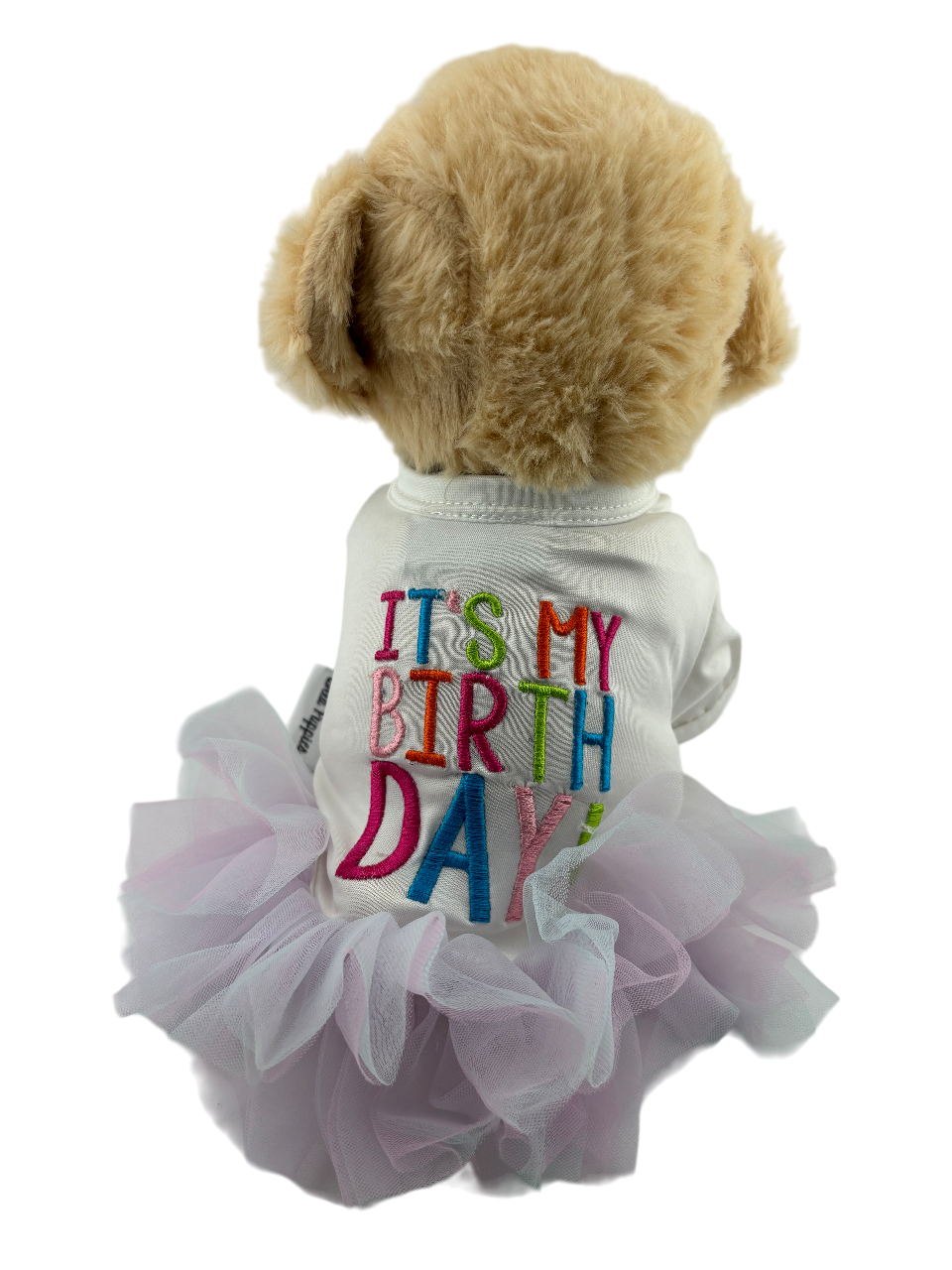 Birthday Dress