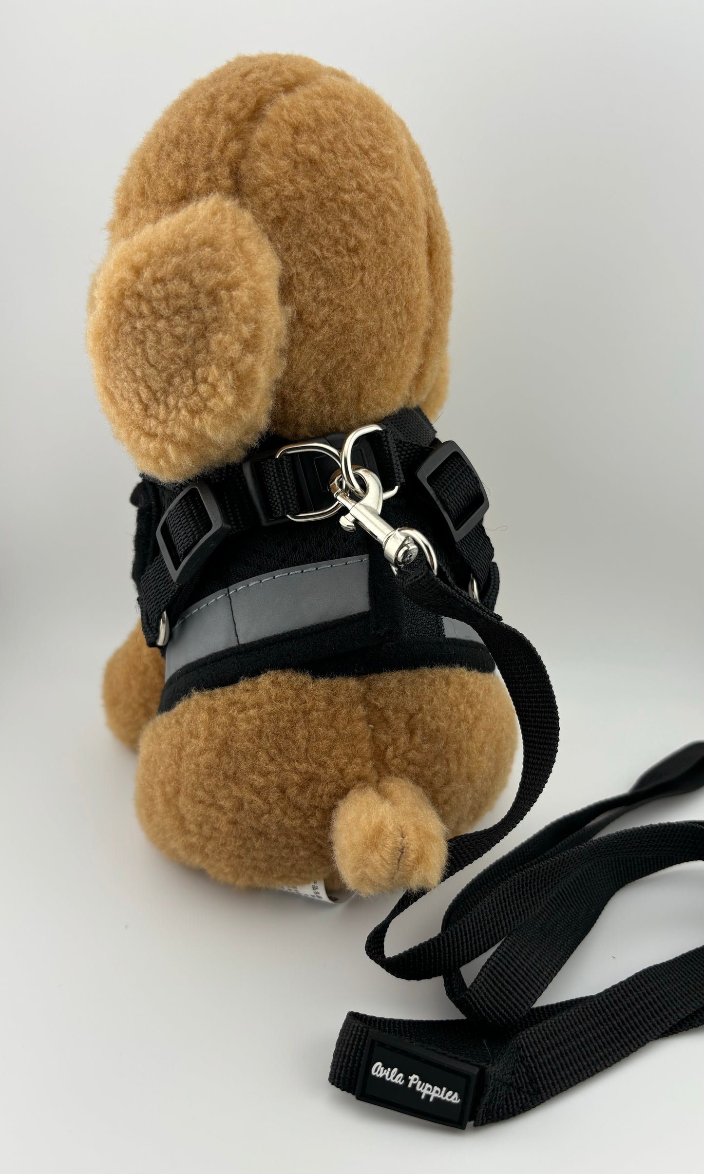Harness with Leash