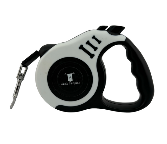 Retractable Leash for Dogs