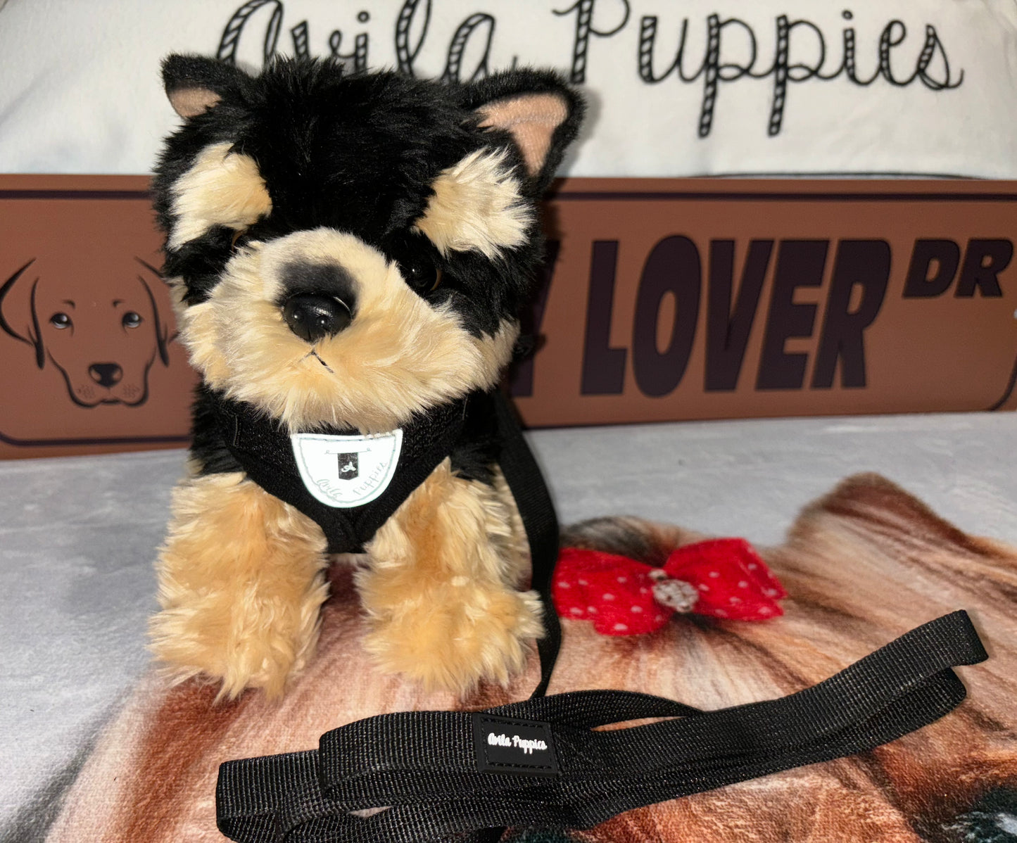 Harness with Leash
