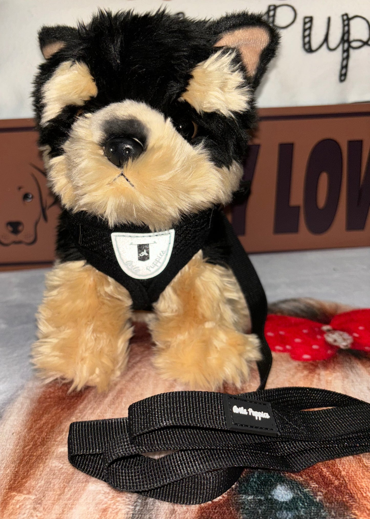 Harness with Leash