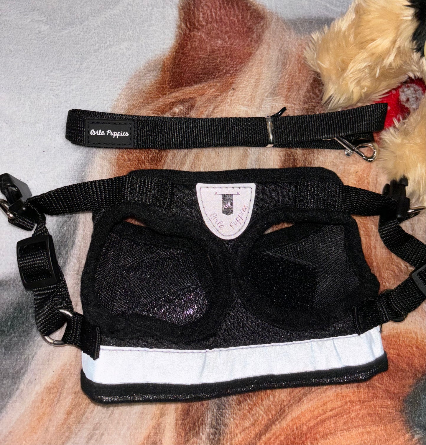 Harness with Leash