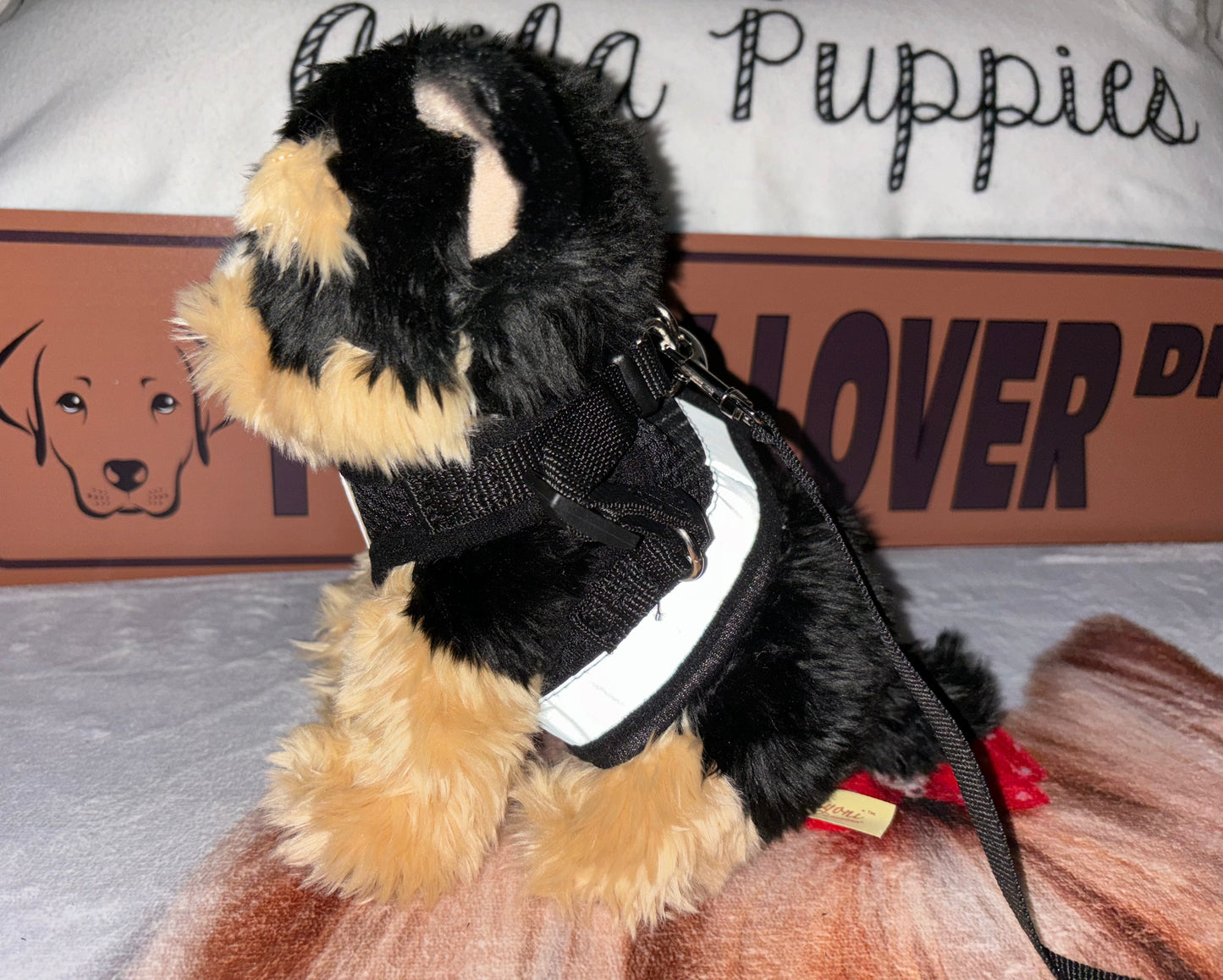 Harness with Leash