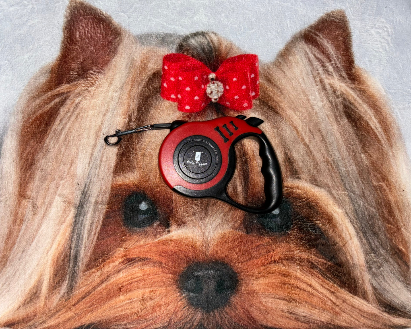 Retractable Leash for Dogs