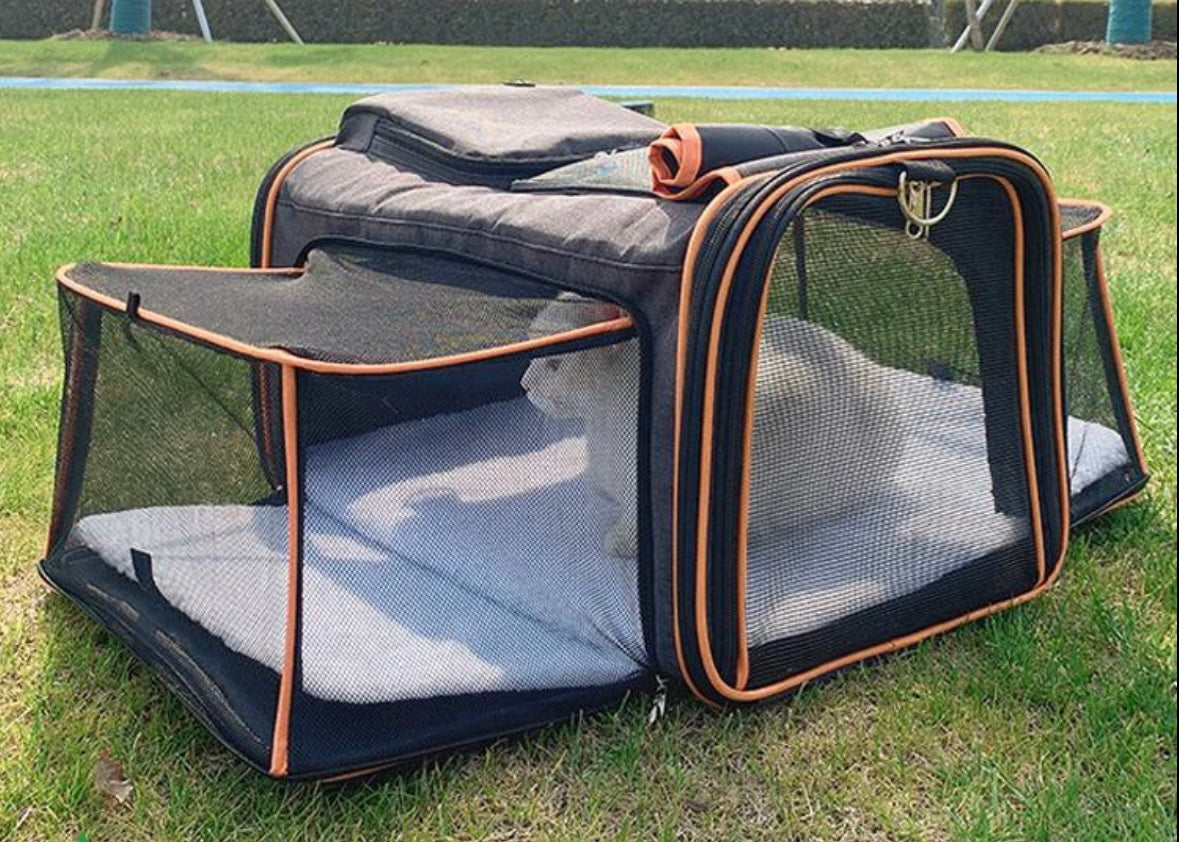 Expandable Carrier for Dogs