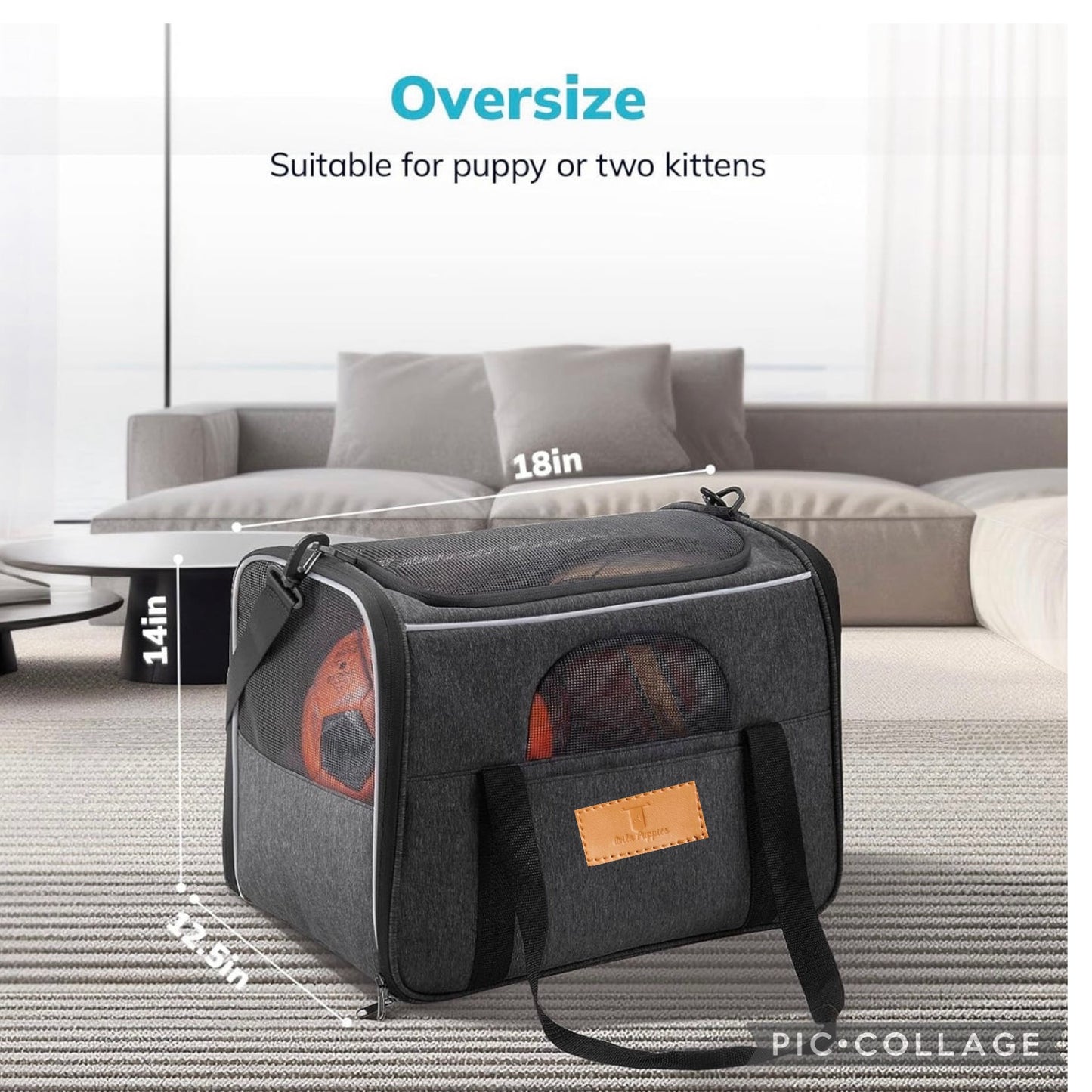 Portable Dog Carrier - Airline approved