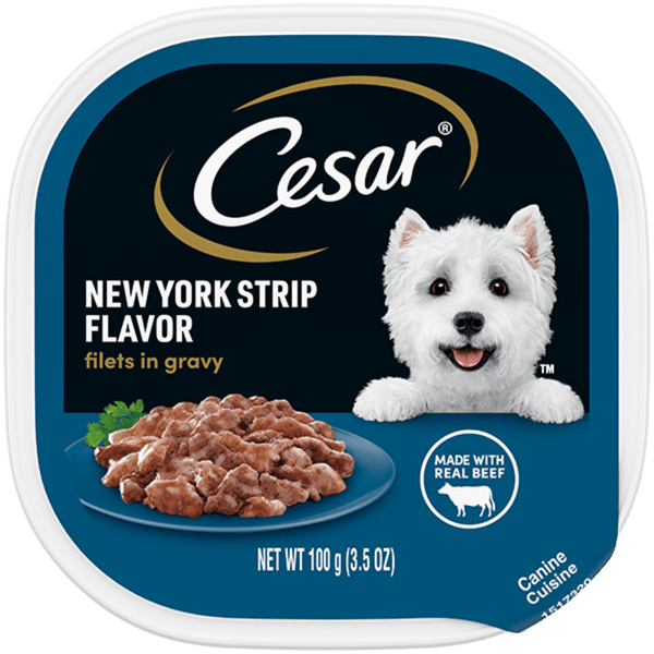 Cesar® Classics Adult Wet Dog Food - Filets in Gravy , 3.5 Oz.