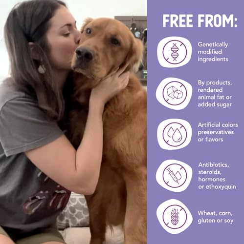 Health Extension Wet Food for Puppies