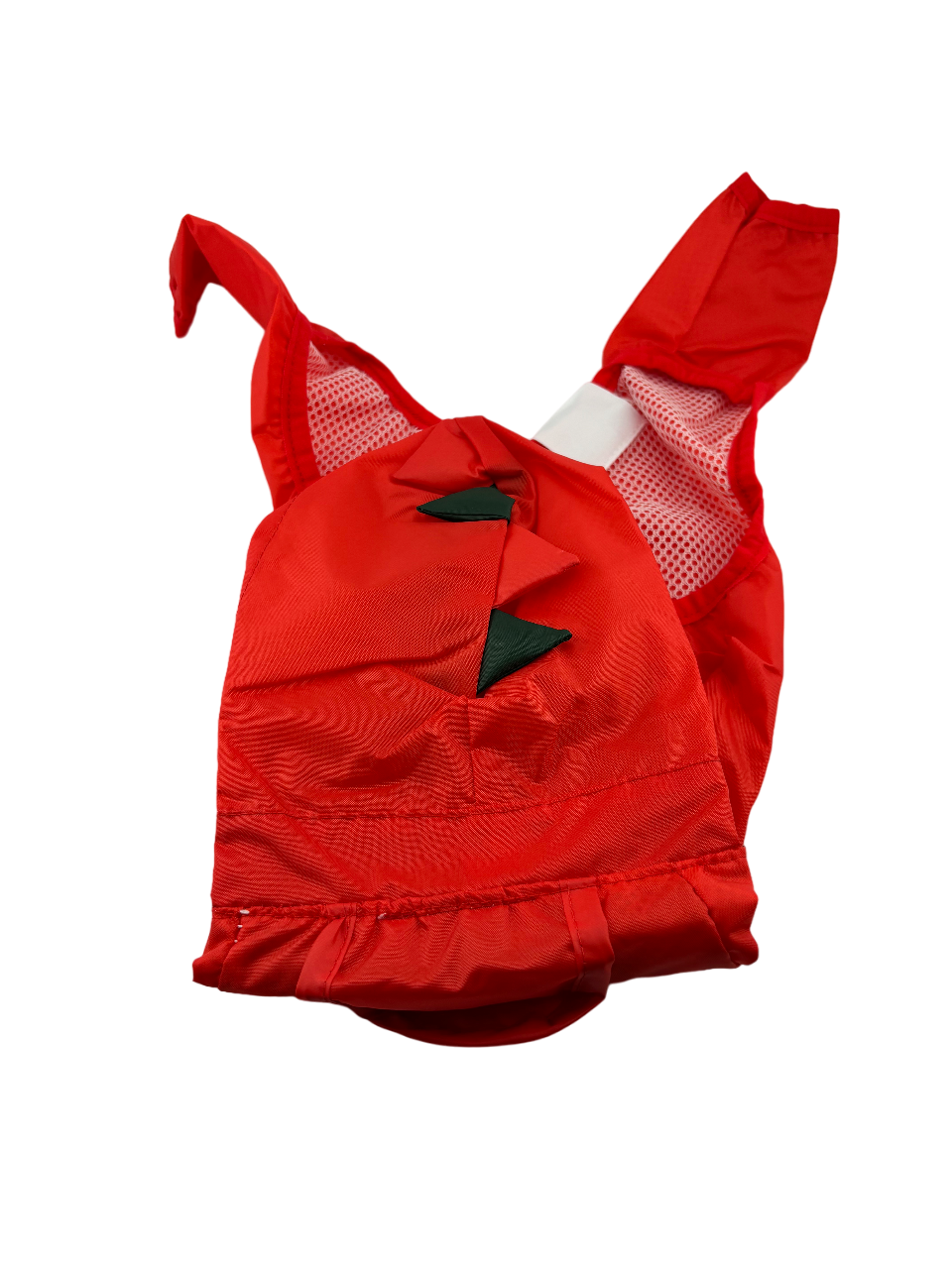 Raincoat