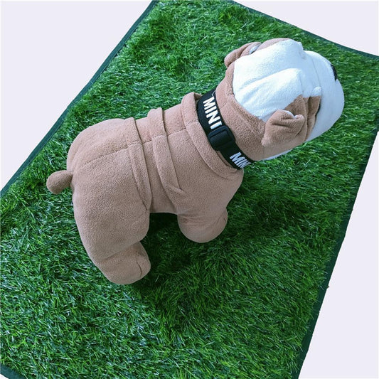 Pee Pad - Simulated