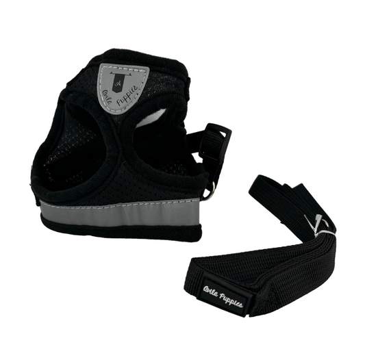 Harness with Leash