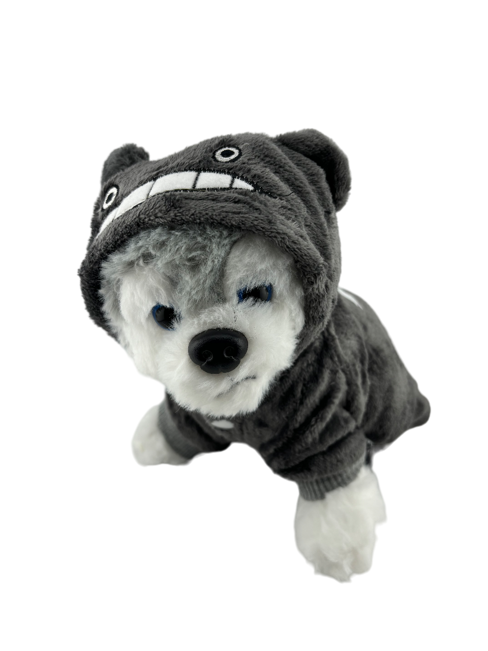 Hoodie Costume