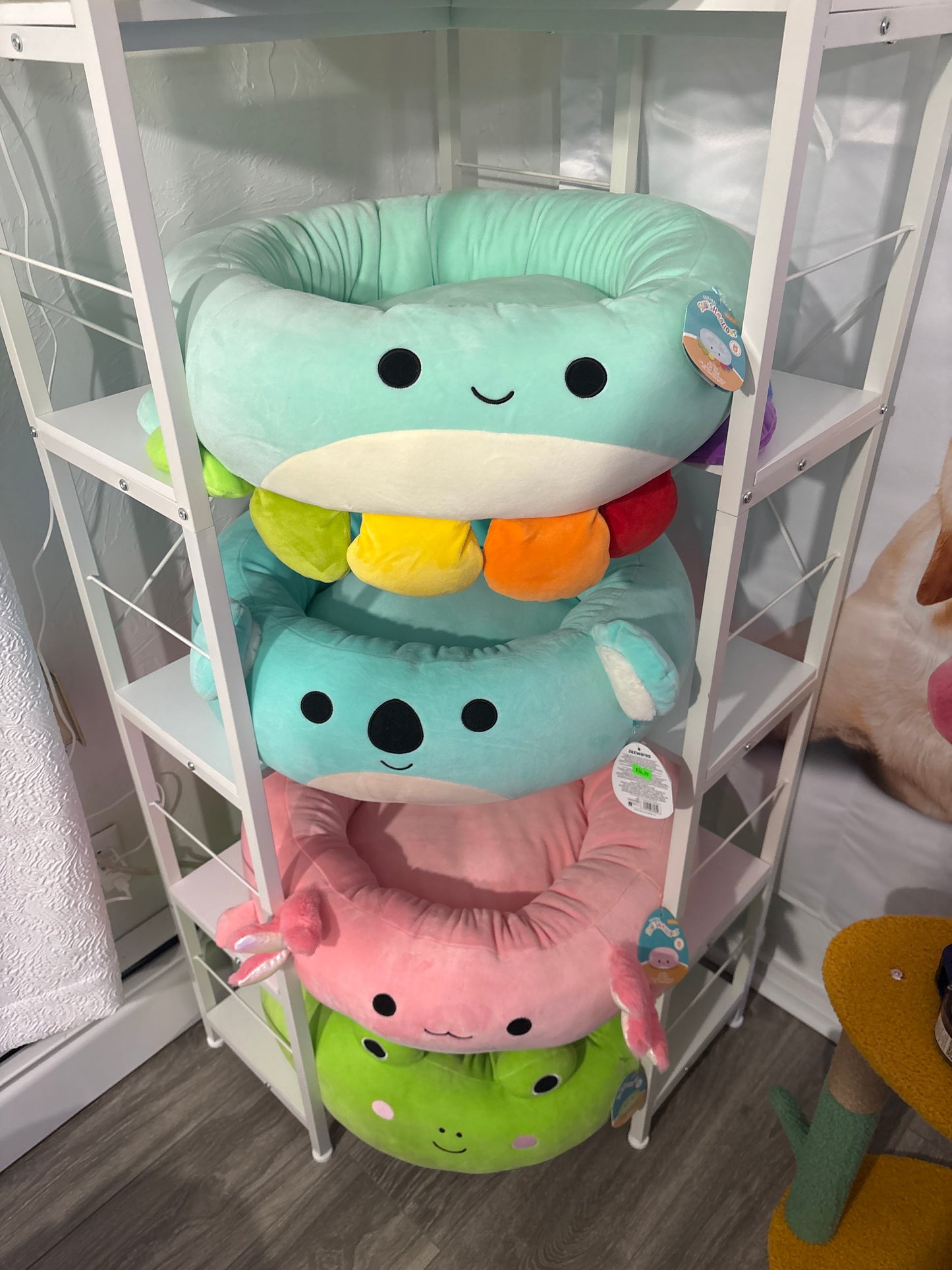 Fancy Pet Bed