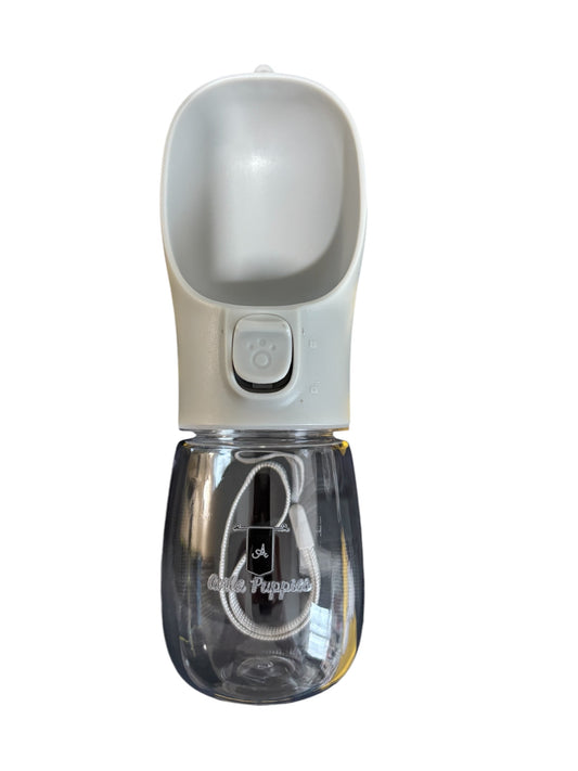 Portable water cup
