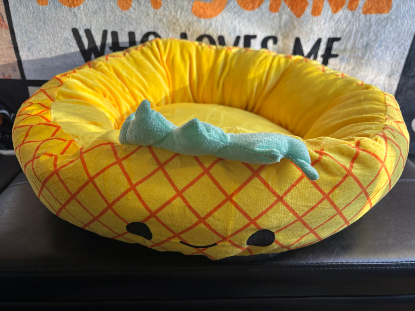 Pet Bed